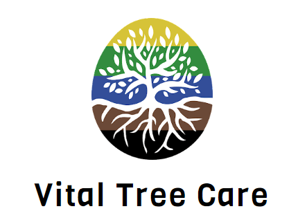 Vital Tree Care